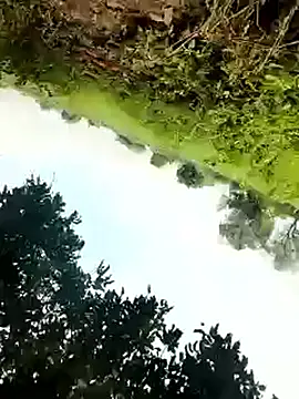 himvilohi08 online show from 10-04-25, 05:27