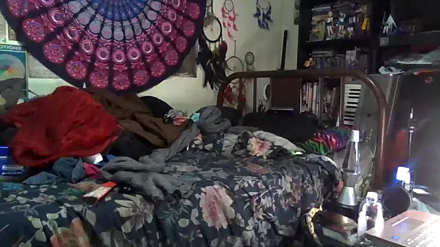 GardeniaFields online show from 12-17-25, 04:51