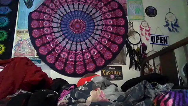 GardeniaFields online show from 02-24-26, 08:56