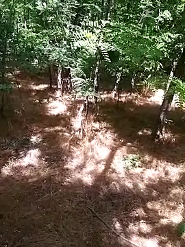 Snapshot of sile47 chatting on 07-07-26, 12:20 sile47 online show from 07-07-26, 12:20