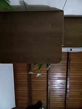 Sexi girl29 online show from 10-02-25, 09:16