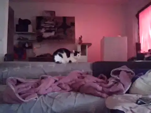 Snapshot of ThePython666 chatting on 03-29-26, 03:34 ThePython666 online show from 03-29-26, 03:34