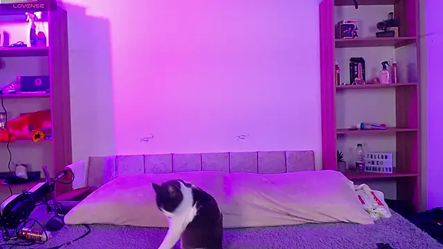 Soy mangx online show from 01-11-26, 03:00