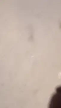 Nick-Ox online show from 03-13-26, 06:47