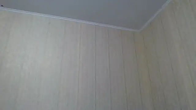  Black-Panther  online show from 09-28-25, 10:31