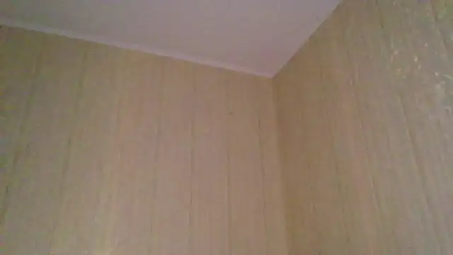  Black-Panther  online show from 11-12-25, 02:06