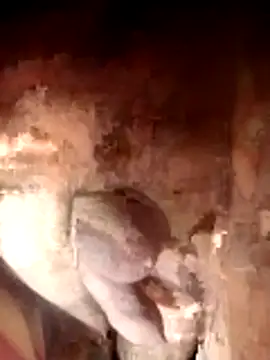 Ayush pussy fucker online show from 11-23-25, 06:08