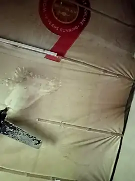 Snapshot of adrija94 chatting on 11-22-25, 04:11 adrija94 online show from 11-22-25, 04:11