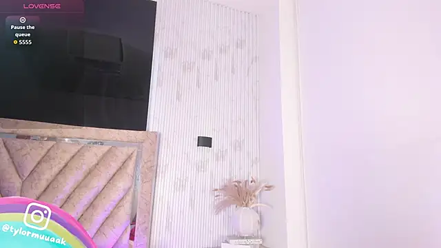 Taylor Harveey online show from 11-20-25, 08:19