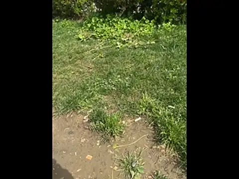 giyasbvnghkgkfk online show from 04-03-26, 10:35