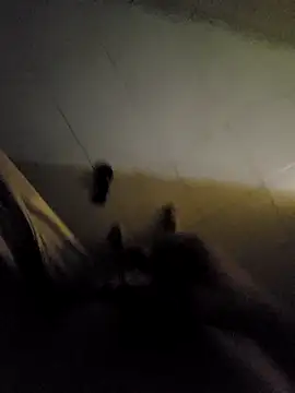 Snapshot of beto_juby777 chatting on 11-04-25, 10:42 beto juby777 online show from 11-04-25, 10:42