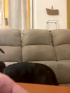 BestSexForYou online show from 01-16-26, 02:15