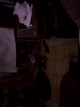 DannyRosarioxxx online show from 11-14-25, 06:28