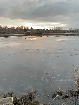 elliot scott online show from 10-22-25, 10:37