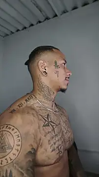 David tatto1 online show from 05-17-26, 04:54