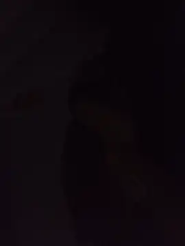 Sexxoophone online show from 07-03-26, 03:35