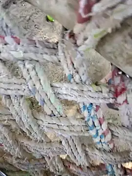 Naveen9100Unity online show from 04-12-26, 10:31