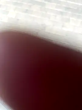 kamo012000 online show from 10-09-25, 02:37