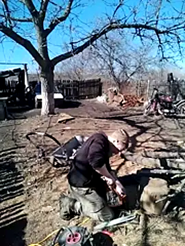 Alexilon online show from 03-10-26, 11:15