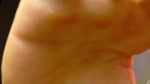 david huge online show from 07-27-26, 08:21