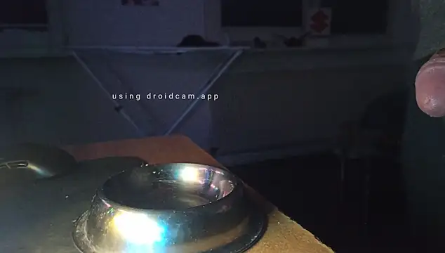 Snapshot of Thompsen1992 chatting on 11-04-25, 02:43 Thompsen1992 online show from 11-04-25, 02:43