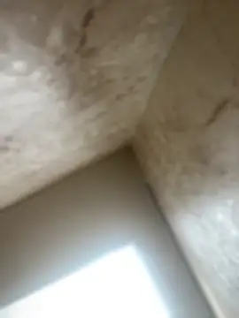 Snapshot of Noa_Todokoro chatting on 10-16-25, 03:02 Noa Todokoro online show from 10-16-25, 03:02