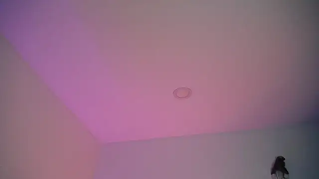 Stepha babe online show from 09-08-25, 10:53