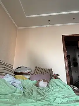 DollyTall online show from 03-19-26, 06:50