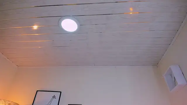 LusyKitty online show from 12-02-25, 03:40