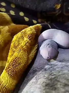 ADAM50001 online show from 04-02-26, 02:42