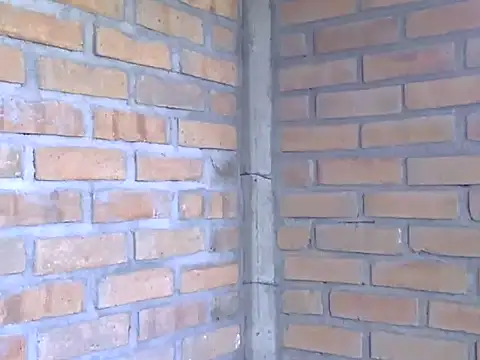 Boycumlatino online show from 10-15-25, 08:53