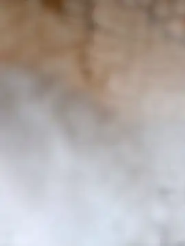 Radsjxh online show from 12-17-25, 07:42