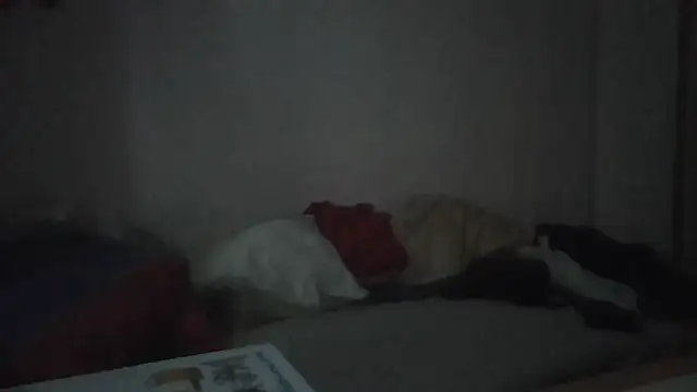 ARTANIS20 online show from 01-11-26, 07:35