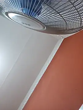 mojaymort online show from 02-07-26, 11:08