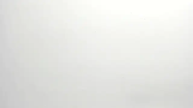 ximena vasquez8 online show from 12-17-25, 03:01