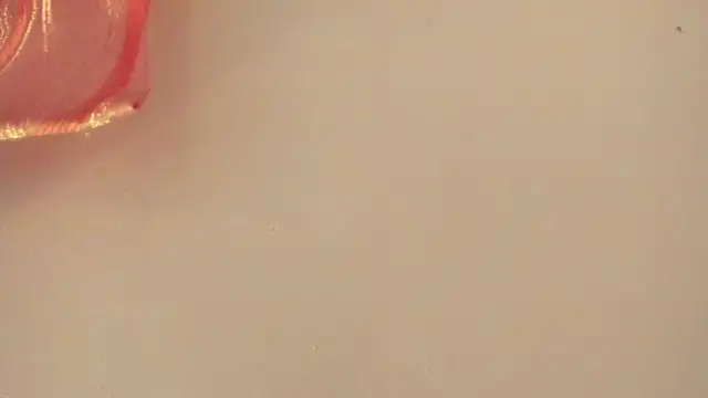 Snapshot of violet_taylor_ chatting on 07-02-26, 02:22 violet taylor online show from 07-02-26, 02:22