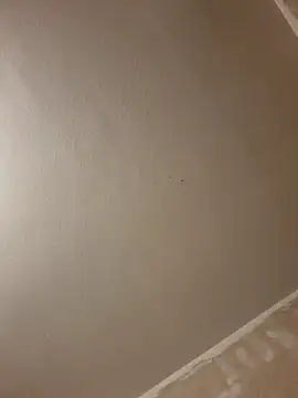 gazb90 online show from 01-14-26, 08:03