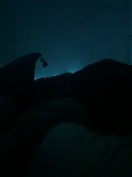 bjarson123 online show from 02-11-26, 10:53