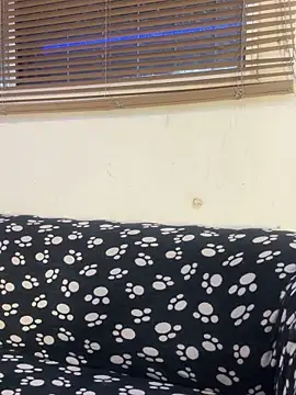 cody fox10 online show from 04-14-26, 01:17