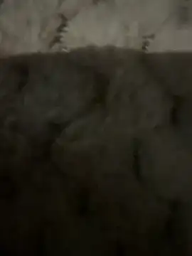 anonimgirl18old online show from 02-09-26, 06:45