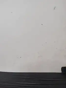 Telugu person12 online show from 02-28-26, 05:08