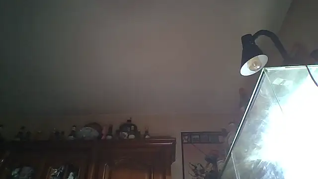 zipman92 online show from 01-05-26, 08:34