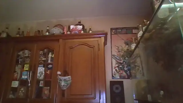 zipman92 online show from 01-15-26, 05:45