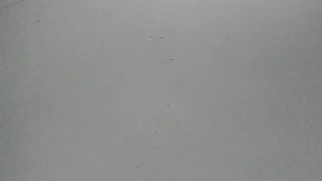 Sophia Ebony online show from 02-25-26, 12:04