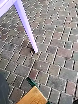 Odecca11 online show from 11-23-25, 08:25