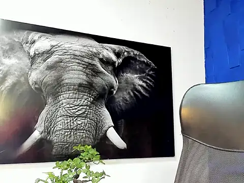 king falconer online show from 12-02-25, 12:49