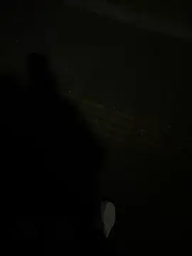 SL NIKI PUBLIC online show from 12-22-25, 11:07