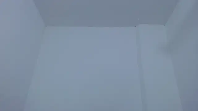 carolina zabala 19 online show from 12-17-25, 07:20