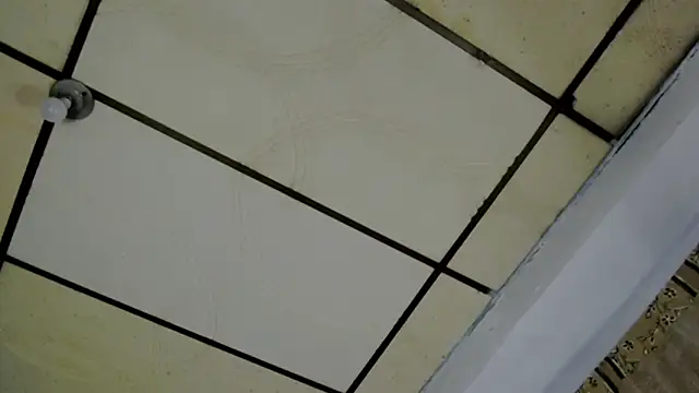 AlaskaFlowers  online show from 09-12-25, 05:51