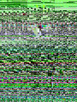 haiyan125216 online show from 09-09-25, 01:16